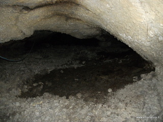 otta Petralia-17-03-2013 10-18-45